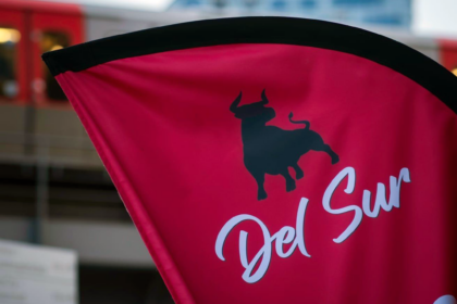 Del Sur - Flagge Design
